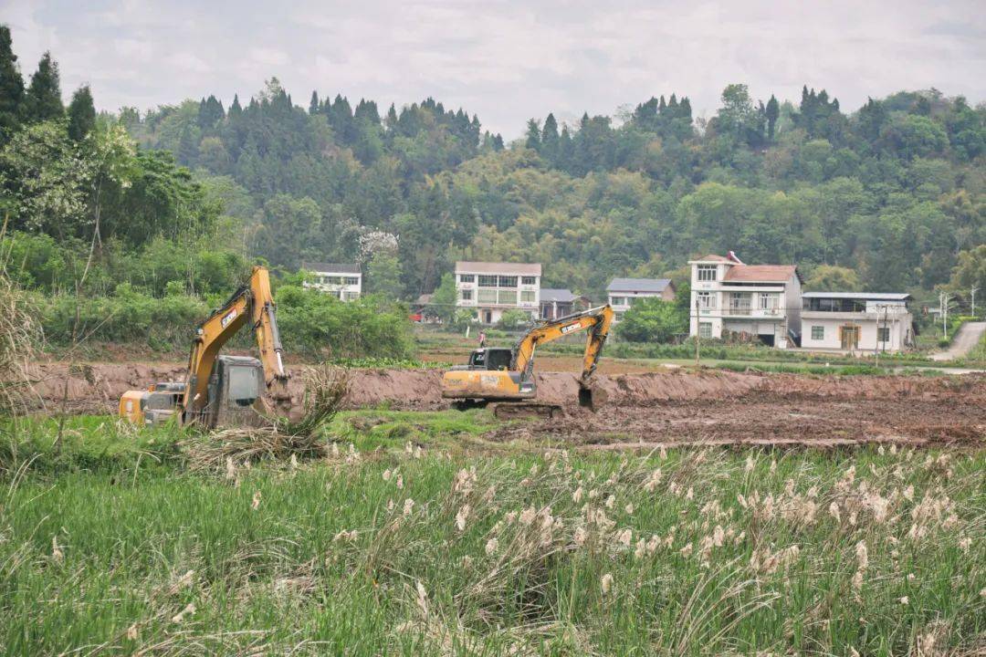 2017年农业土地整理项目可行性研究报告总结与房地产开发关联分析