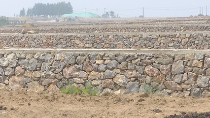 泰安新泰市楼德镇 土地整理赋能特色产业，绘就乡村振兴新画卷